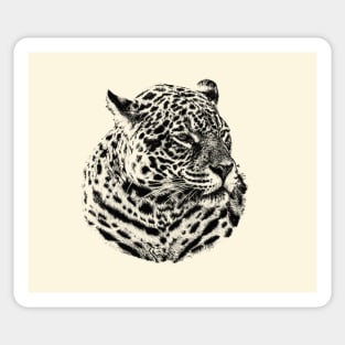 Jaguar portrait Sticker